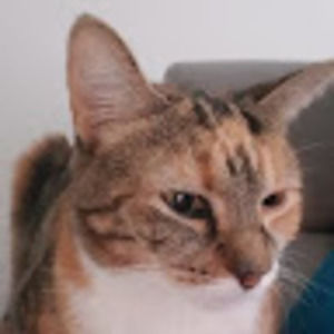 Meet your Posher, Mara